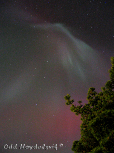 Aurora