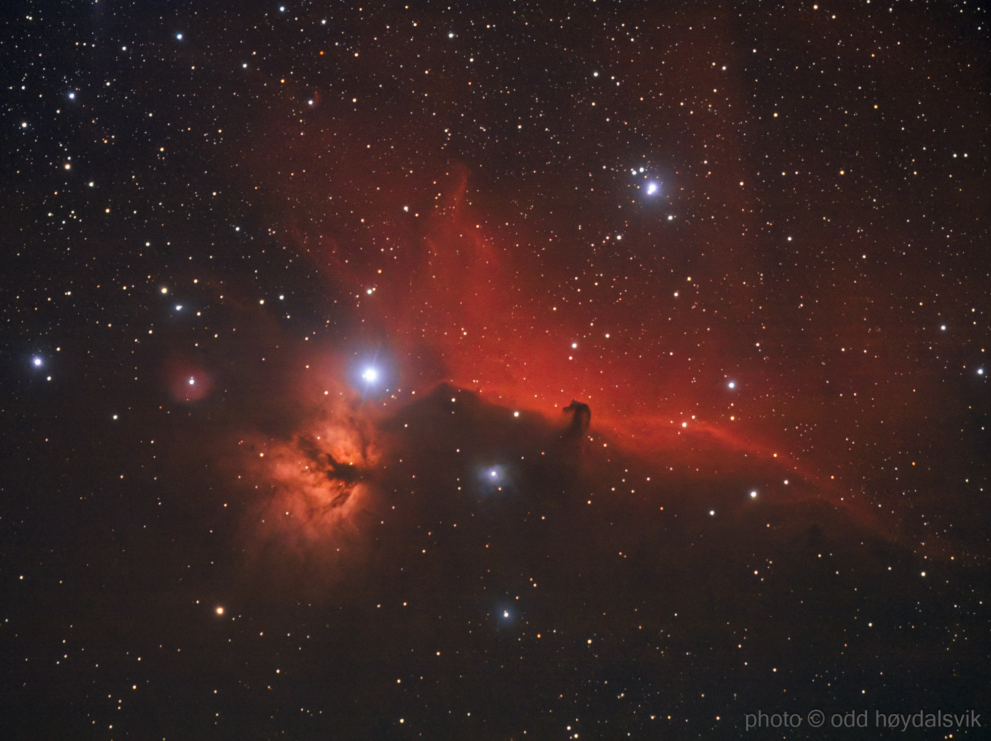 Horsehead and Flame Nebula