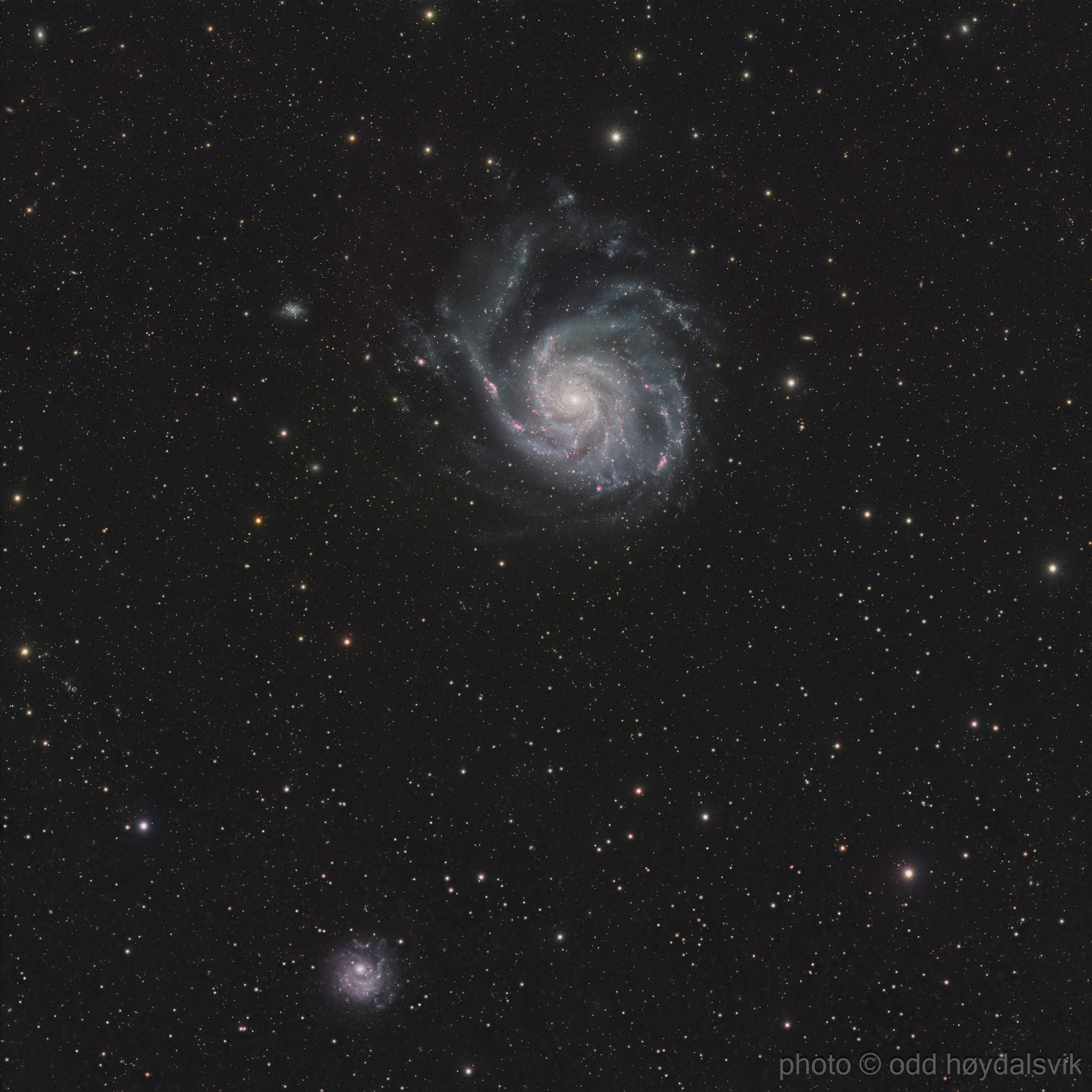 Pinwheel Galaxy M101