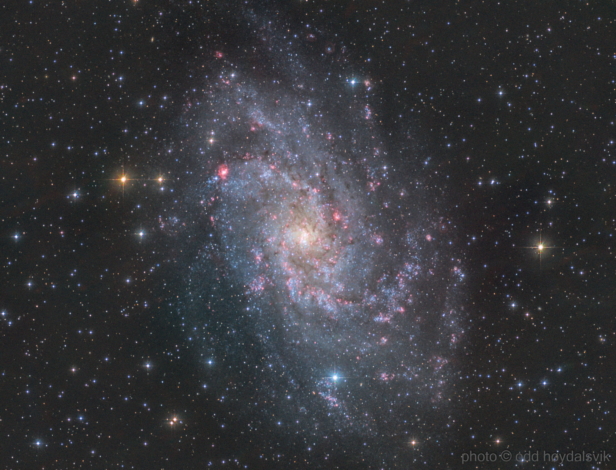 M33 Triangulum Galaxy