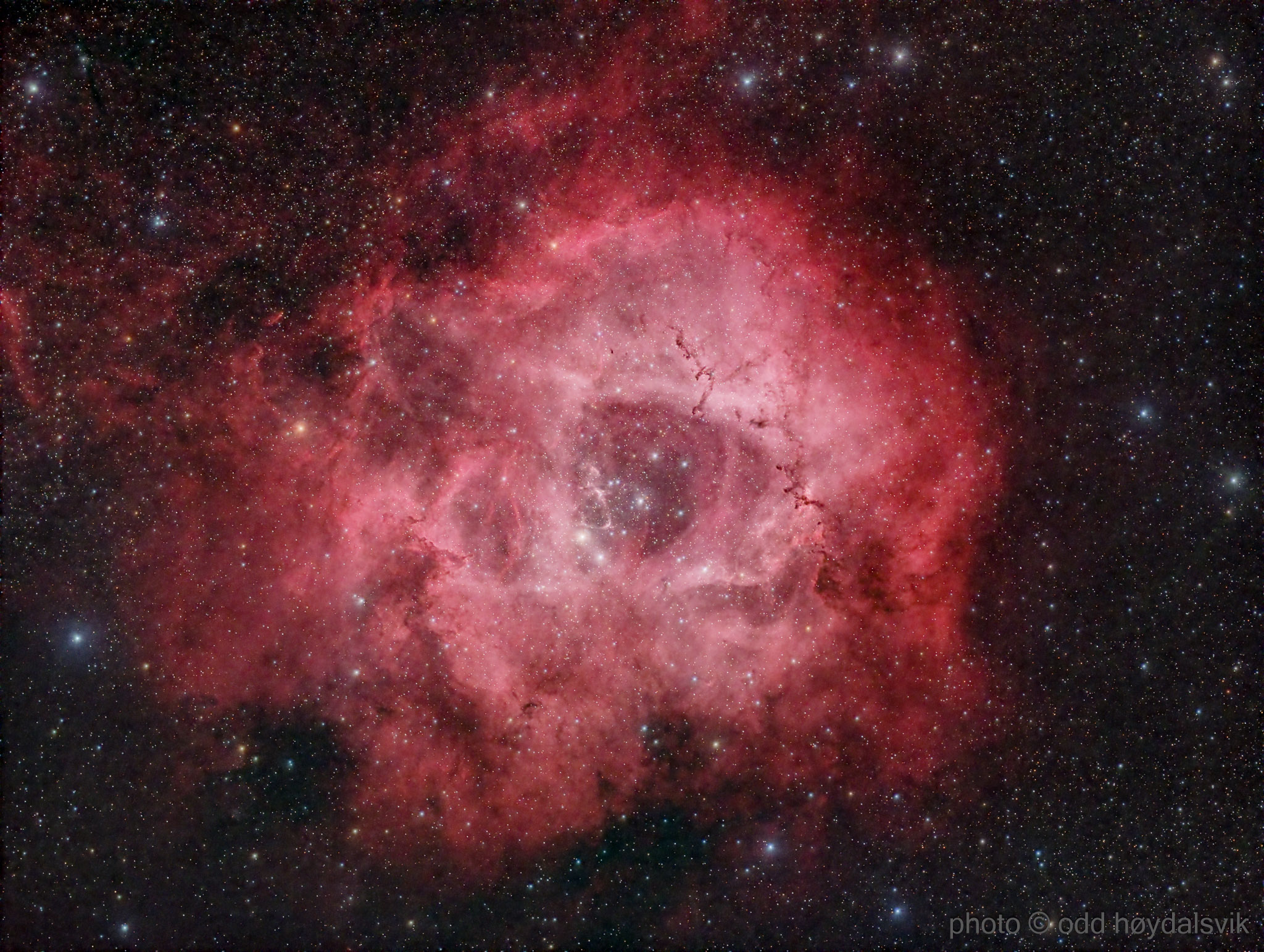 Rosette_20190310-RGBHa-2-Edit