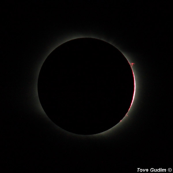 total solar eclipse pictures. Photo of total solar eclipse