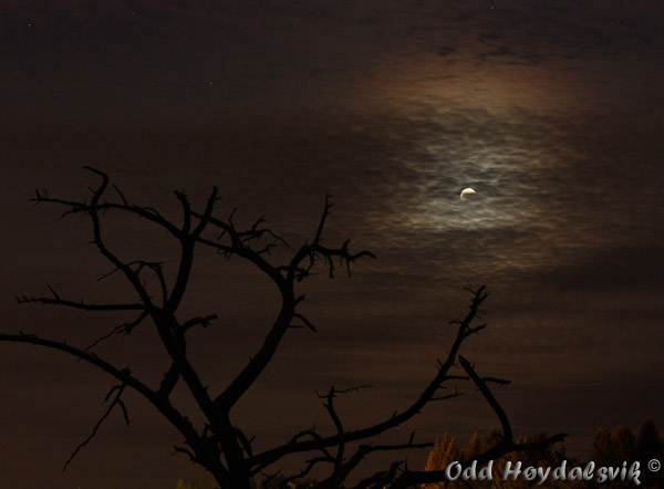 Lunar eclipse 2008