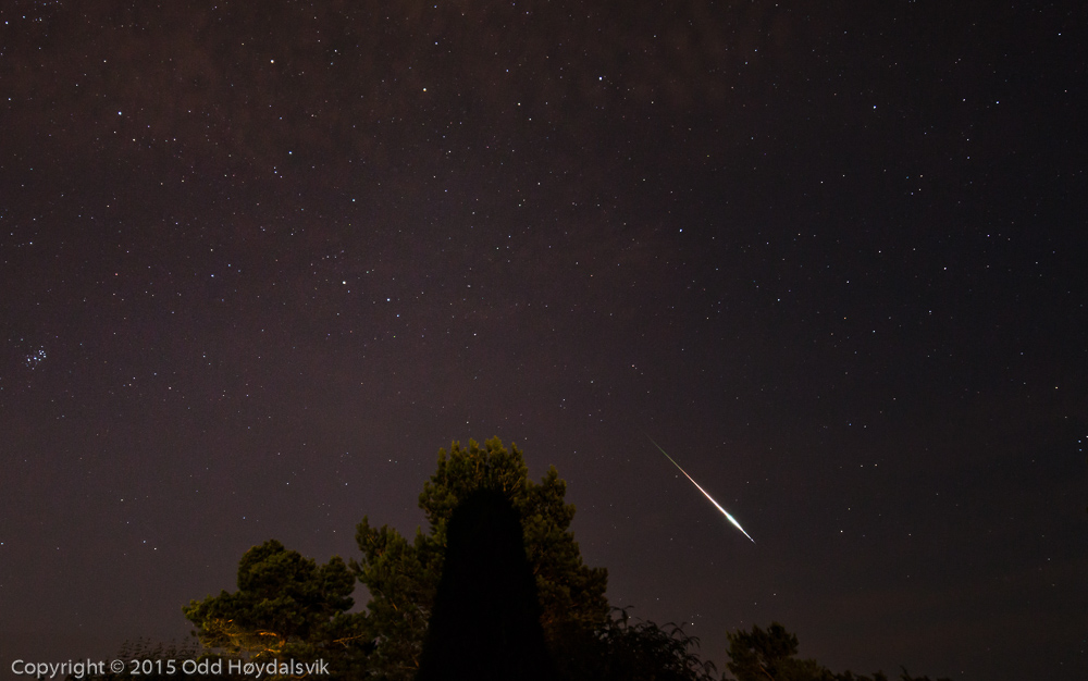 Perseid