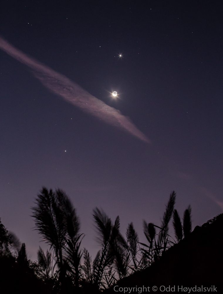 Venus, Jupiter Mars and Moon