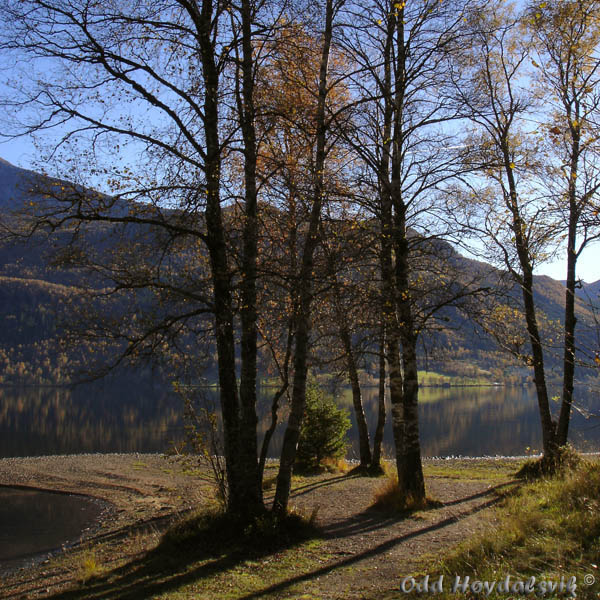 Autumn colours, Høstfarger Jølster