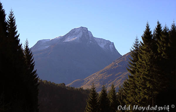 Autumn colours, Høstfarger Austefjorden