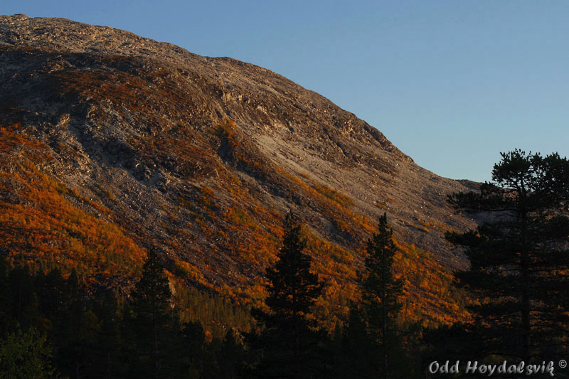 Mjølfjell i høstdrakt 2008