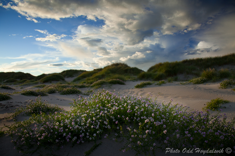 Jæren Norway