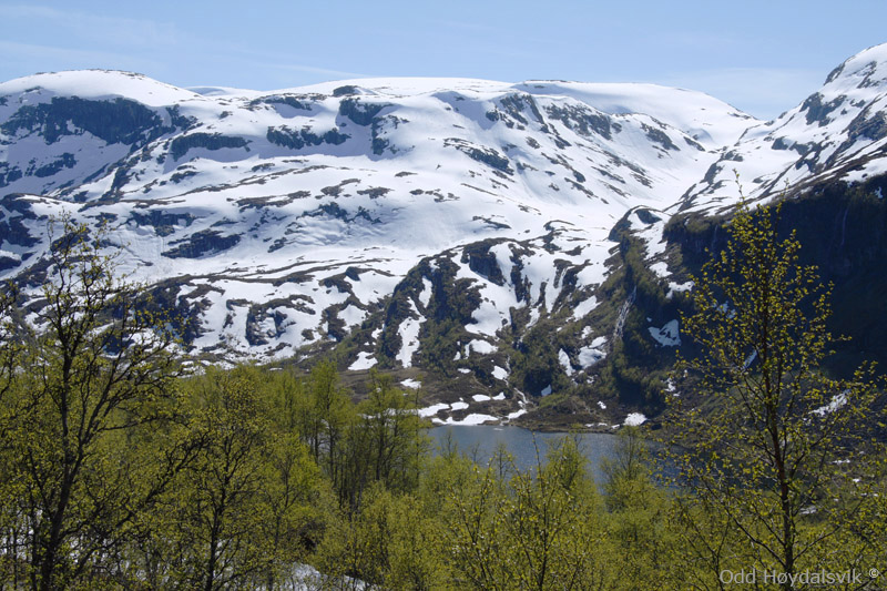 Slondalen