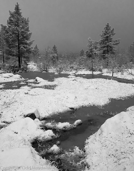 Nysnø på Mjølfjell