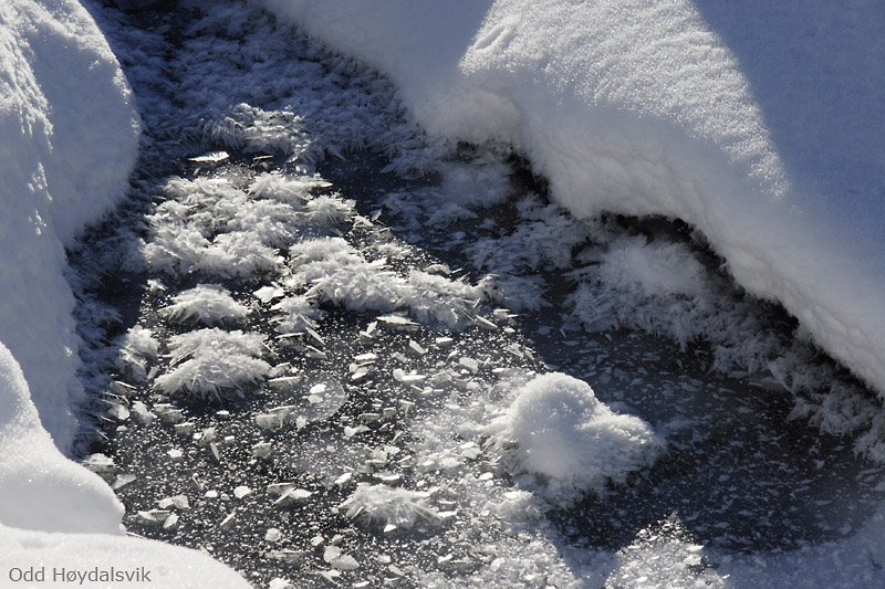 Vinter på Mjølfjell