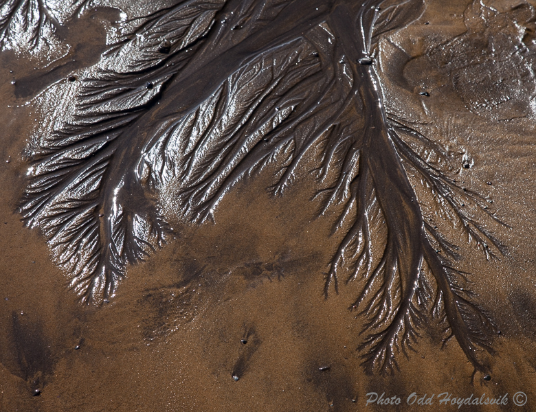 Pattern in sand