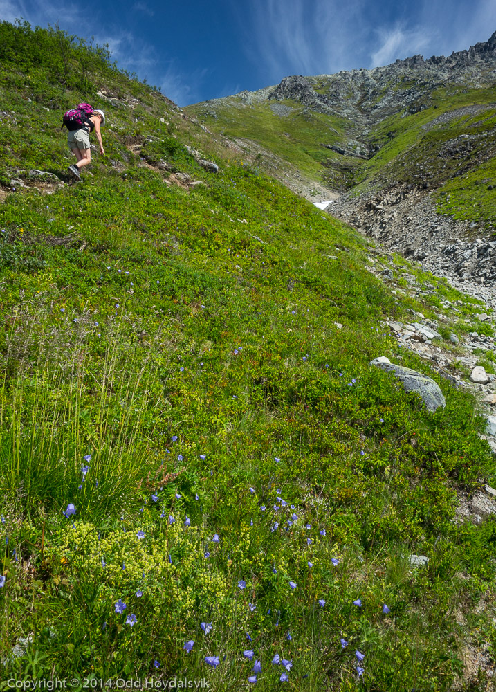 Skårasalen